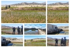 گام بلند جهاد کشاورزی ملکشاهی برای توسعه کشت و آبادانی در روستای شهید کشوری منطقه «پیره»