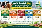 رونق تولیدات دامی در شهرستان ایلام
