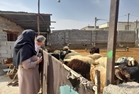 پایش میدانی واحدهای مشاغل خانگی دام سبک در شهرستان ایلام با هدف تسهیل فرآیند تولید 