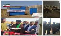 افتتاح طرح پرواربندی ۲۰۰ راسی بره درپنجمین روز از هفته دولت در شهرستان  آبدانان