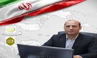 پیش بینی تولید ۲۶ هزار تن محصول کلزا در سال جاری در استان ایلام