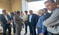 بازدید ریاست سازمان جهاد کشاورزی  استان ایلام  از پروژه ایستگاه پمپاژ منطقه برتش