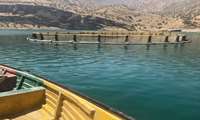 پرداخت تسهیلات  از محل اعتبارات بنیاد برکت به طرح های پرورش ماهی  