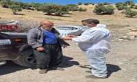 برگزاری رزمایش جهاد دامپزشکی در دهستان زردلان سردسیر شهرستان هلیلان