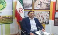تشکیل ۶۲۶ پرونده تخلفات صنفی جهت ارجاع به تعزیرات حکومتی استان