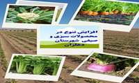 طرح افزایش تنوع در کشت محصولات سبزی و صیفی شهرستان دهلران 