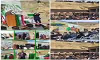 برگزاری جشن انقلاب در روستای سرابکلان سیروان