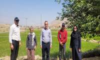   تحویل زمین پروژه های کانال آبیاری کشاورزی روستاهای دارتوت، سنگ سفید و گلمه، بخش شباب شهرستان چرداول‌ 