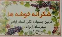 دومین جشنواره انگور - شهرستان ایوان