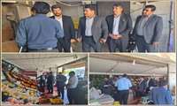 بازدید فرماندار و گشت مشترک تنظیم بازار از واحد‌های صنفی و نانوایی های سطح شهر ایلام