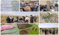 برگزاری کارگاه آموزشی تولید محصول سالم سبزی و صیفی در مرکز شباب از توابع شهرستان چرداول 
