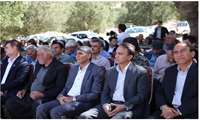   مراتع ایلام پاسخگوی تعداد دام‌های بومی و عشایر نیست 