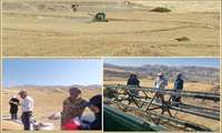   آغاز عملیات برداشت غلات در شهرستان ایلام  