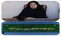 توسعه کشاورزی و دامداری در بخش زرین‌آباد دهلران؛ برنامه‌ریزی برای کشت اراضی شیب‌دار و حمایت از کشاورزان