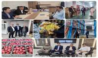 بازدید از سردخانه‌های ذخیره میوه در استان‌های آذربایجان غربی و کردستان