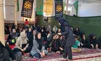 برگزاری کارگاه آموزشی و اجرای طرح مبارزه بیولوژیک با زنبور براکون در مزارع ذرت موسیان 