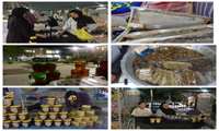 دومین روز از نمایشگاه عسل و فراورده های جانبی