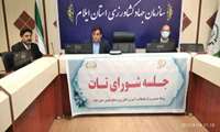 احداث باغات دیم در ایلام ارزش افزوده اقتصادی بیشتری دارد 
