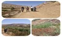 بازدید از جوی سنتی روستای بردبل توسط کارشناسان مدیریت جهادکشاورزی شهرستان چرداول
