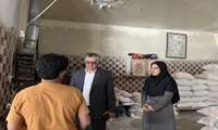 بازدید میدانی معاون رییس سازمان و مدیر جهاد کشاورزی دهلران از نانوایی‌ها و بازار شهرستان 16 فروردی