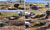 آغاز فصل امید در منجل 13 اسفند 1404