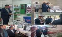 اجرای گشت مشترک تعزیرات حکومتی در ایلام