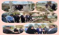 باغ گیاه شناسی ( بوتانیکی ) احداث شده با ۳۵۰ گونه درختی ودرختچه ای بومی وغیر بومی