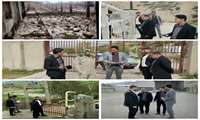  بازدید مسئولین شهرستان ایلام از مرغداری‌های بخش سیوان؛ بررسی چالش‌ها و ظرفیت‌ها