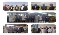 بازدید و بازرسی فرماندار،مدیرجهادکشاورزی ومدیر دامپزشکی از واحدهای تولیدی مرغداری ها و گاوداری ۱۲۰۰ راسی قیام شهرستان ایوان