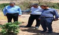  بازدید میدانی معاون هماهنگی امور اقتصادی استانداری از زیرساخت‌های آب و خاک و باغبانی شهرستان ایوان  