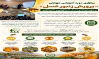 برگزاری دوره آموزشی پرورش زنبورعسل 