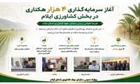  آغاز سرمایه گذاری ۴ هزار هکتاری در بخش کشاورزی ایلام 