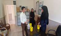 بهره‌گیری از تکنولوژی «تله مکفیل» برای مقابله با مگس مدیترانه‌ای در مزارع ملکشاهی