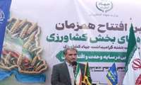 پایان ۲۰ سال انتظار با افتتاح کشتارگاه صنعتی ایوان