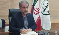 تولید سالانه ۳۳۰۰ تن تخم‌ مرغ در واحدهای مرغداری ایلام