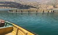 عملکرد گل نرگس و ماهی در قفس در استان ایلام