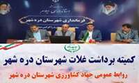  برگزاری کمیته برداشت غلات و کلزا ؛ آمادگی شهرستان دره‌شهر برای آغاز برداشت غلات و دانه‌های روغنی 