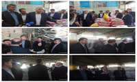بازرسی معاون برنامه ریزی  و نظارت سازمان تعزیرات حکومتی کشور از سطح بازار شهر ایلام 