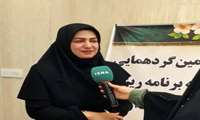 تولید بیش از ۱۴۶ هزار تن محصول سبزی و صیفی در ایلام/ شکوفایی کشاورزی با مدیریت نوین آبی