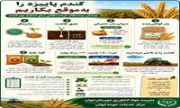 کاشت به موقع گندم پاییزه