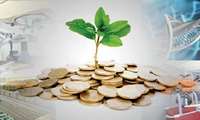 پرداخت 40 فقره تسهیلات حمایتی به متقاضیان بخش باغبانی استان ایلام