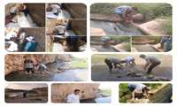 مرحله سوم مدیریت رها سازی آب رودخانه چرداول و چناره توسط کارکنان جهاد کشاورزی این شهرستان
