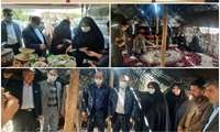 بازدید نمایندگان محترم استان در مجلس شورای اسلامی از نوروزگاه عشایری شهرستان سیروان