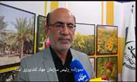 پرداخت خسارت محصولات کشاورزی تا پایان آبان ماه