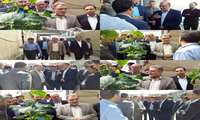 بازدید دکتر کوشش تبار از مجتمع گلخانه ای صالح آباد