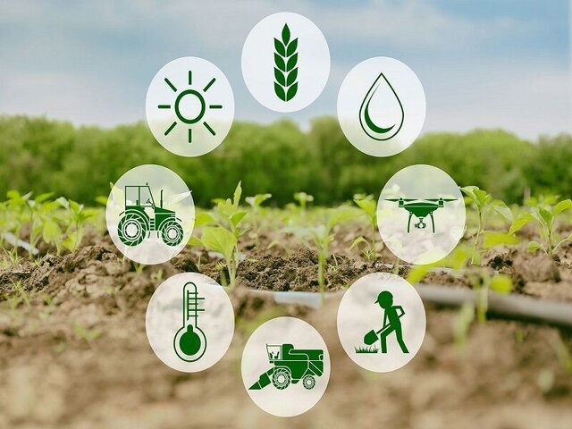 توسعه همکاری‌ها در مسیر استانداردسازی بخش کشاورزی برای دستیابی به امنیت غذایی