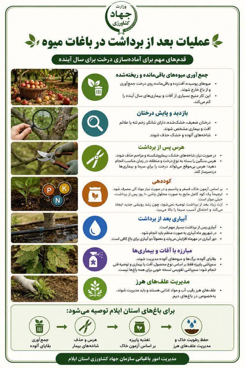 عملیات بعد از برداشت در باغات میوه