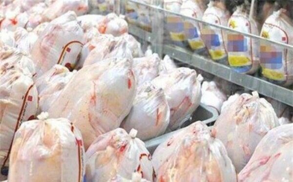 خرید ۲۰۰ تن مرغ جهت ذخیره‌سازی در ایلام