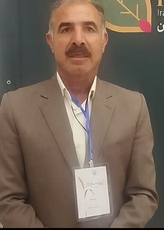 پیش‌بینی افزایش سطح زیر کشت کلزا در ایلام؛ گام بلند استان در مسیر توسعه دانه‌های روغنی