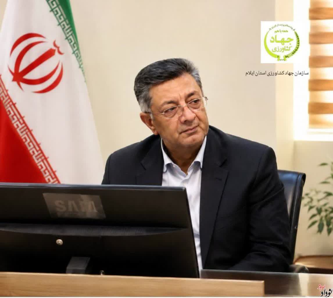 توزیع ۲۱ هزار تن بذر اصلاح‌شده بین کشاورزان ایلامی